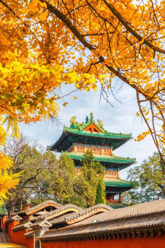 的胡辣汤成为北上广新顶流PG麻将胡了10块钱一碗(图7) 的胡辣汤成为北上广新顶流PG麻将胡了10块钱一碗(图7)