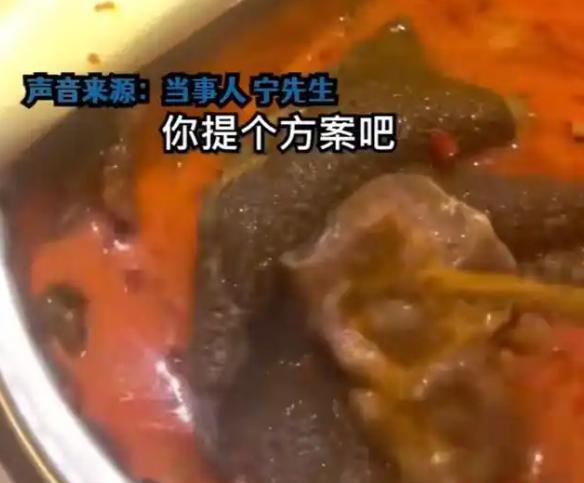 便！被员工拍下后曝光涉事门店回应麻将胡了火锅店店长在后厨灶台小(图10)