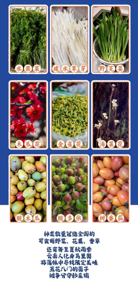 遇云肴酸菜牛肉火锅开启酸辣新体验PG电子麻将胡了2试玩沸腾酸香(图2)