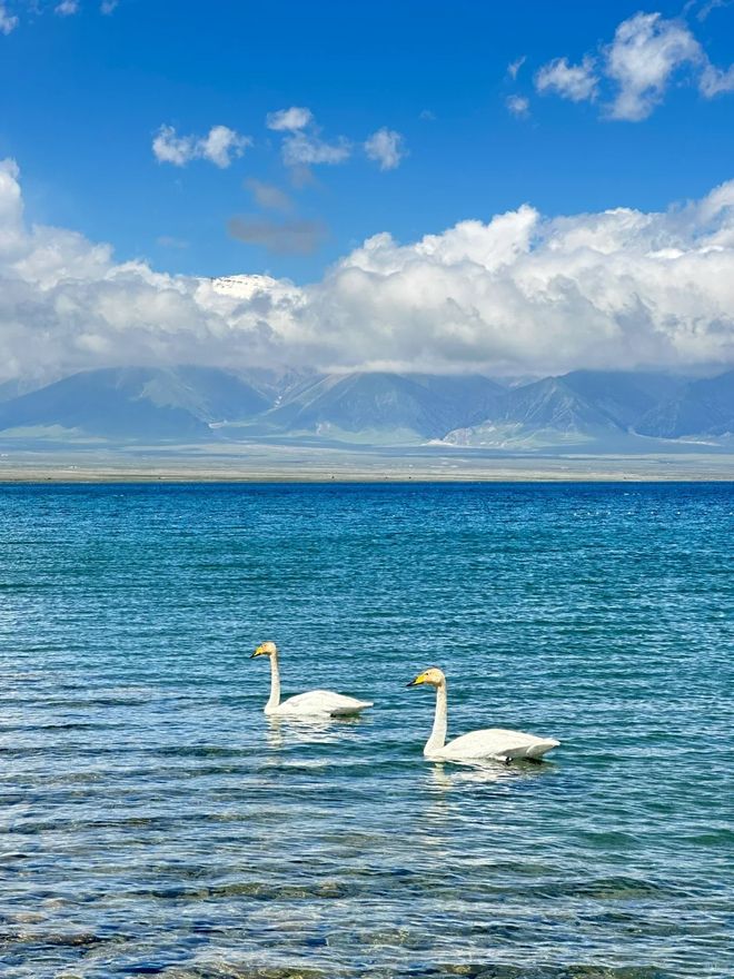 拉玛干沙漠+天山峡谷预算与行程一键掌握麻将胡了试玩平台新疆深度7日游：塔克(图2)