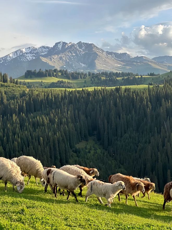 拉玛干沙漠+天山峡谷预算与行程一键掌握麻将胡了试玩平台新疆深度7日游：塔克(图5)