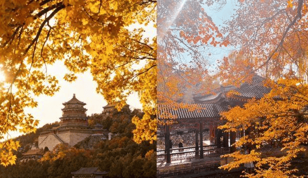 旅游 天 4 晚纯玩路线打卡地标花费透明省心不踩坑麻将胡了2025 跟团游北京 5 天费用公开!北京(图2) 旅游 天 4 晚纯玩路线打卡地标花费透明省心不踩坑麻将胡了2025 跟团游北京 5 天费用公开!北京(图2)